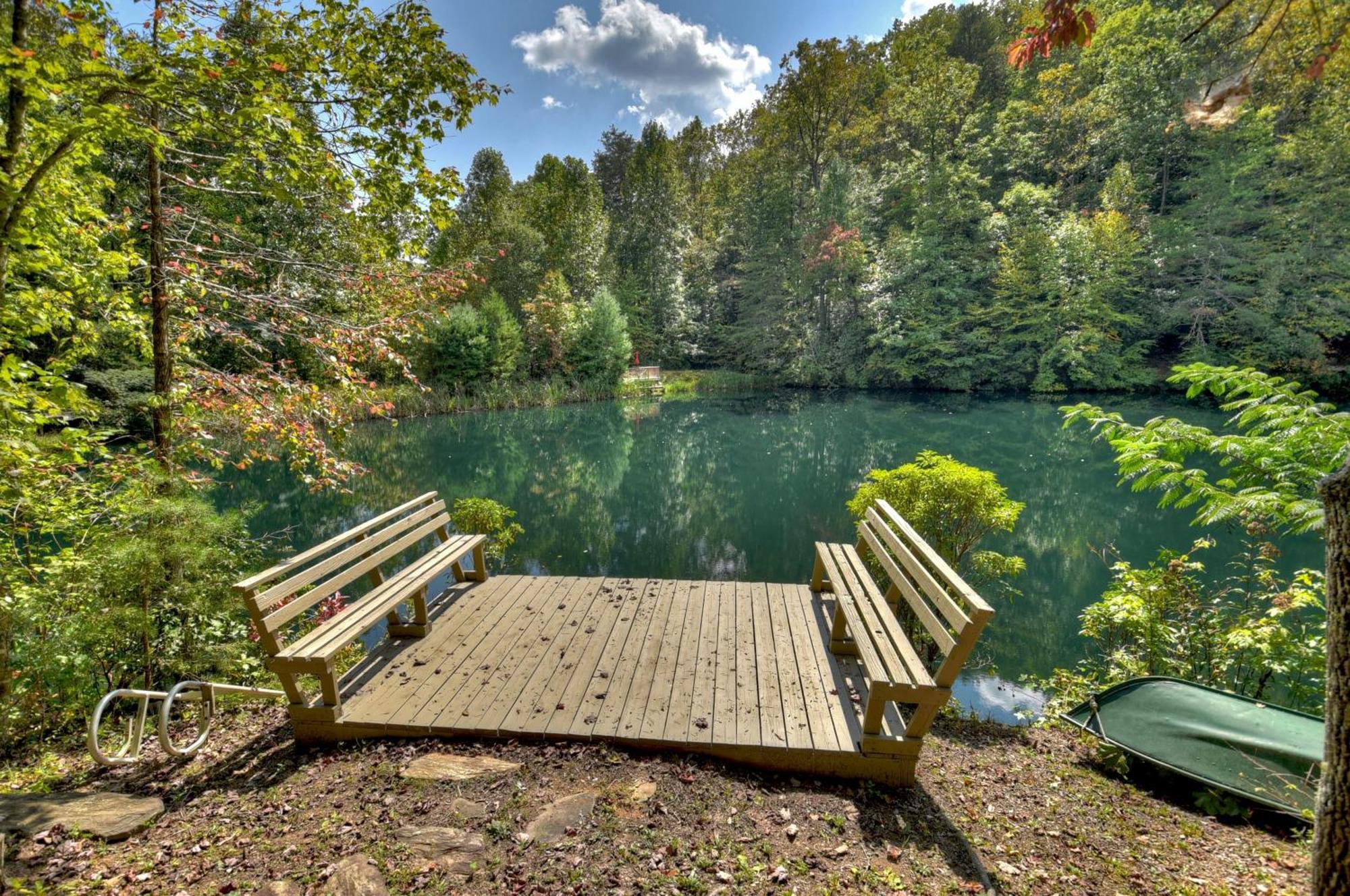 Waywish Waterfront Cabin In Blue Ridge Mountains Ngoại thất bức ảnh