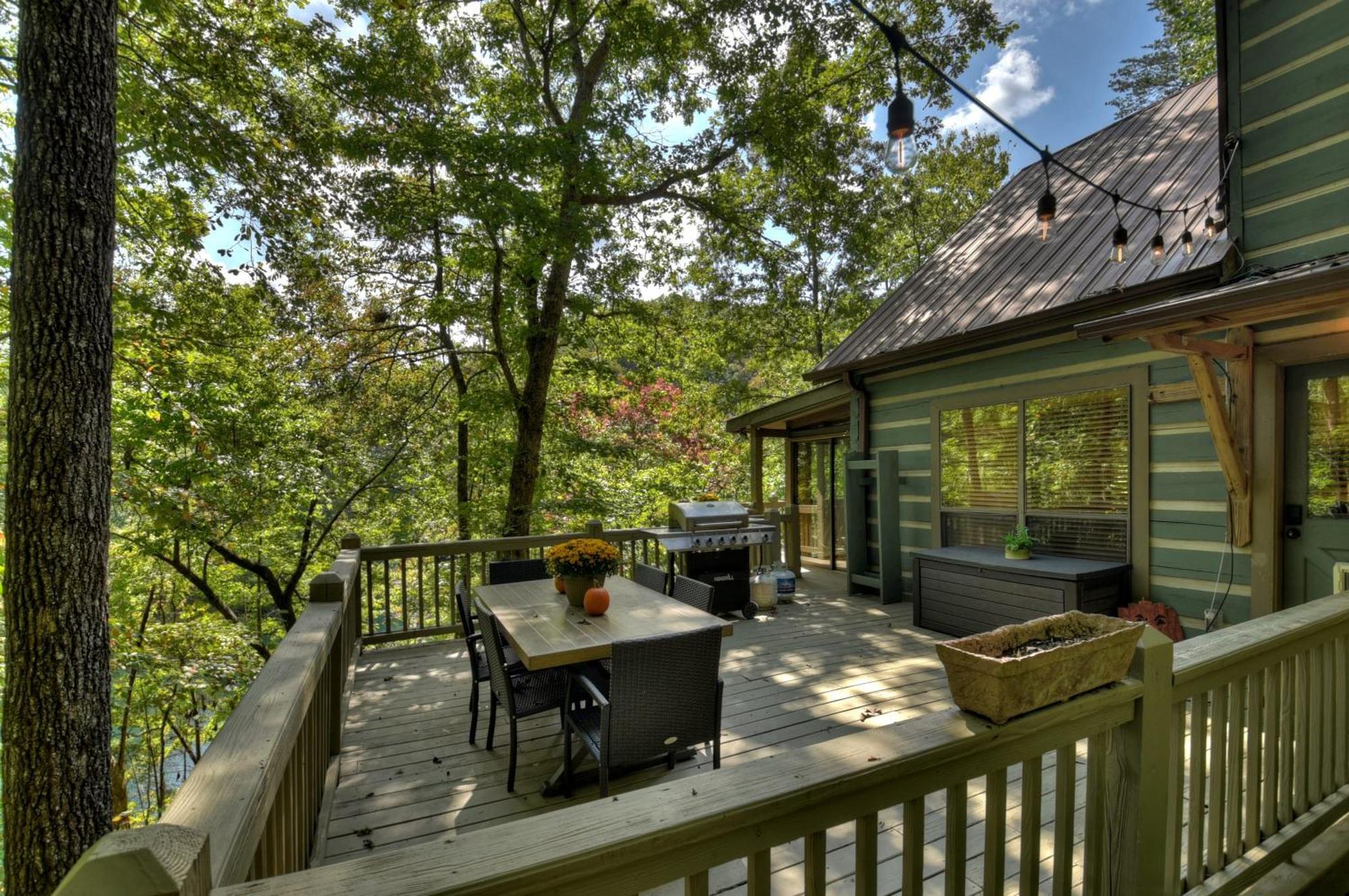 Waywish Waterfront Cabin In Blue Ridge Mountains Ngoại thất bức ảnh